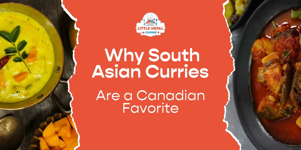 Savouring the Spice Why South Asian Curries Are a Canadian Favorite